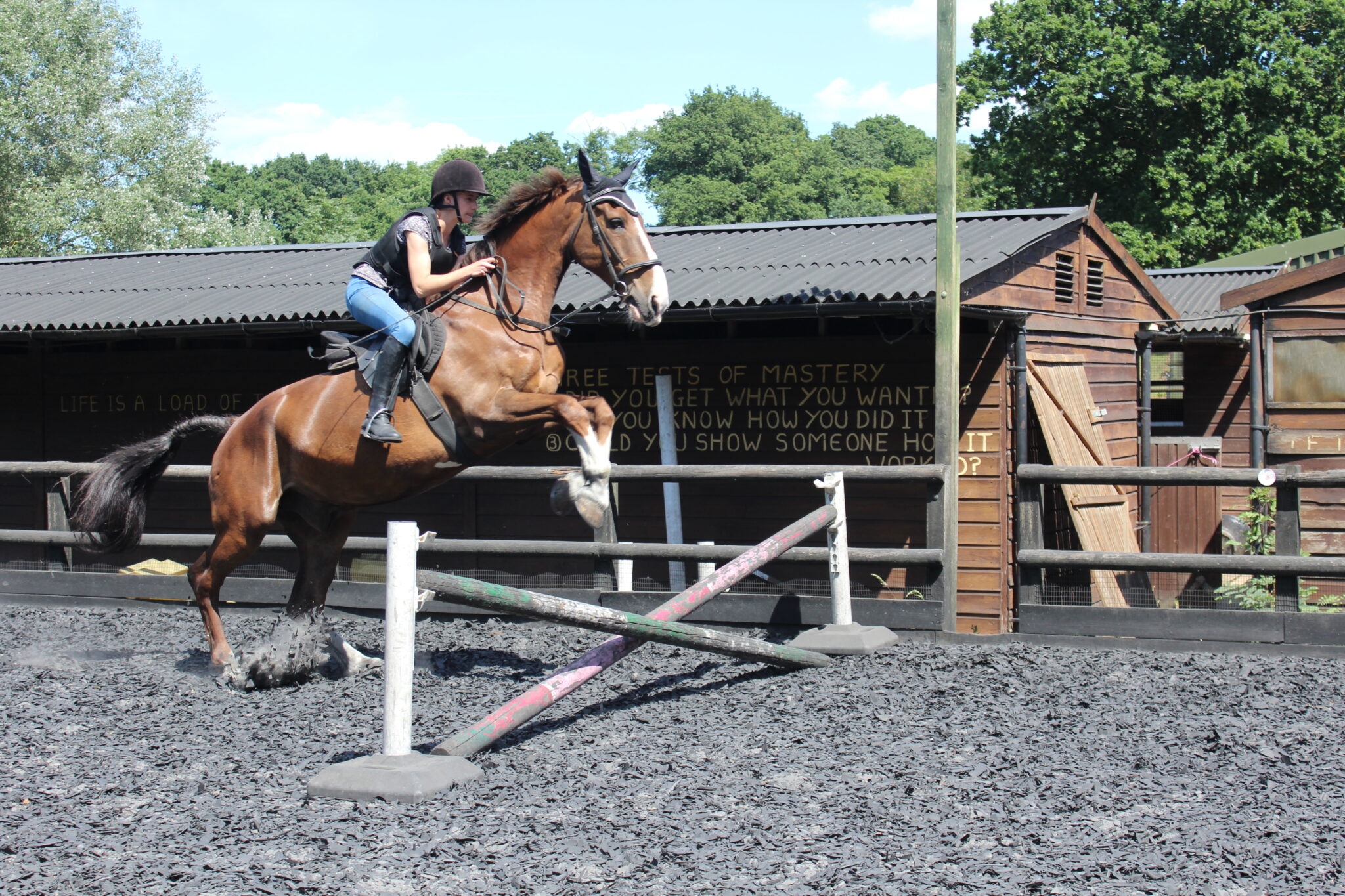 Riding – Russells Equestrian Centre
